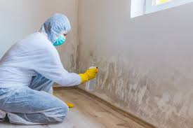 Best HVAC Mold Inspection and Cleaning  in Granite Bay, CA