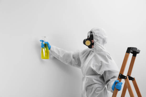 Best Mold Odor Removal Services  in Granite Bay, CA