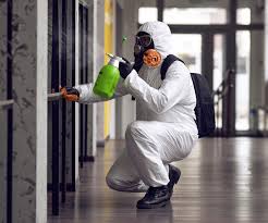 Why You Should Choose Our Mold Remediation Services in Granite Bay, CA