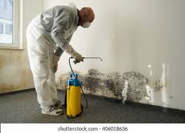 Best Black Mold Removal  in Granite Bay, CA